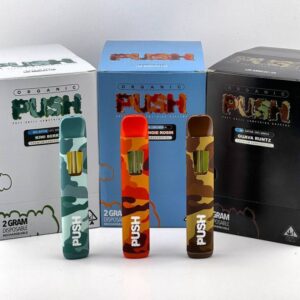 Push 2g Disposable Vape Pen