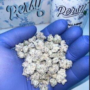 Frosted Persy Mini Snowballs weed buds with visible trichomes and vibrant colors