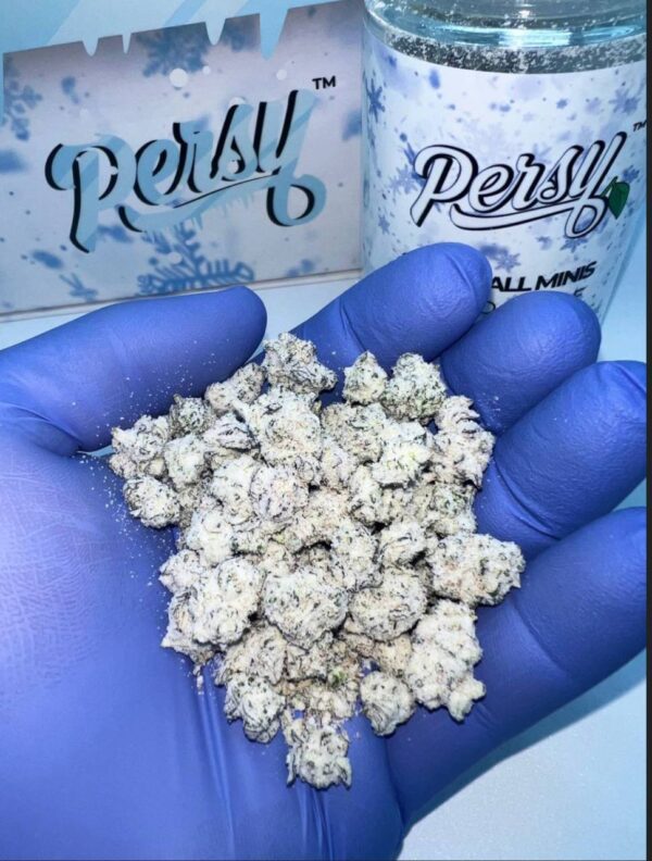 Frosted Persy Mini Snowballs weed buds with visible trichomes and vibrant colors