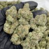 Blue Gumbo cannabis buds close-up with frosty trichomes