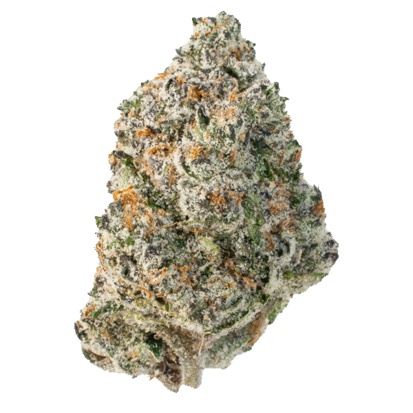Fresh Wham Strain cannabis flower by Lil Baby showing vibrant green buds covered in sparkling trichomes.