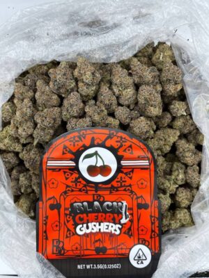 Close-up of Cherry Gushers cannabis strain – dense, frosty buds with vibrant green and orange hairs