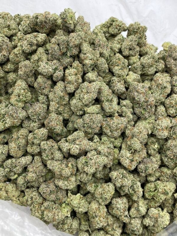High THC Blue Gumbo marijuana strain for sale online